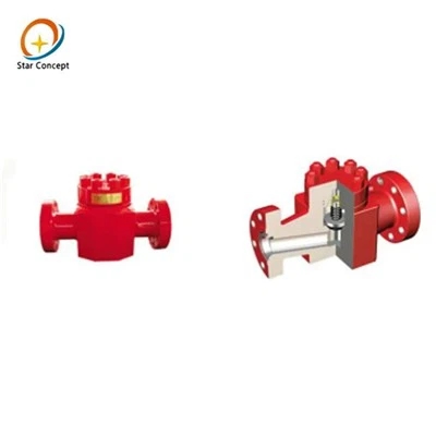 Bohrlochkopf-Rückschlagventil